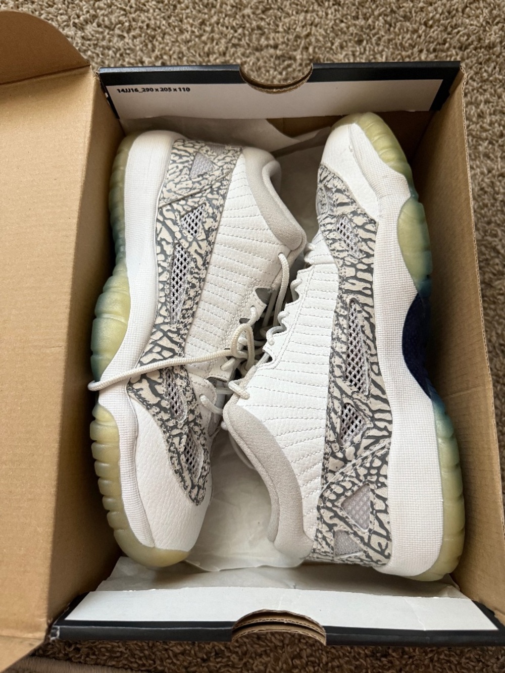 Jordan 11 low